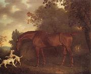 A Bay Hunter and Two Hounds in A Wooded Landscape, Clifton Tomson